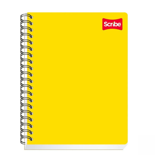 CUADERNO PROFESIONAL PLASTIFICADO