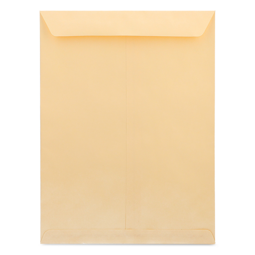 SOBRE BOLSA SOLAPA 90 G T/C